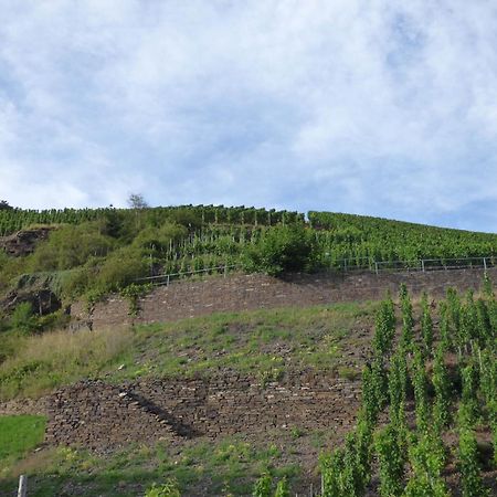 Relaxen Im Weindorf Mayschoss Fewo 4 Dış mekan fotoğraf