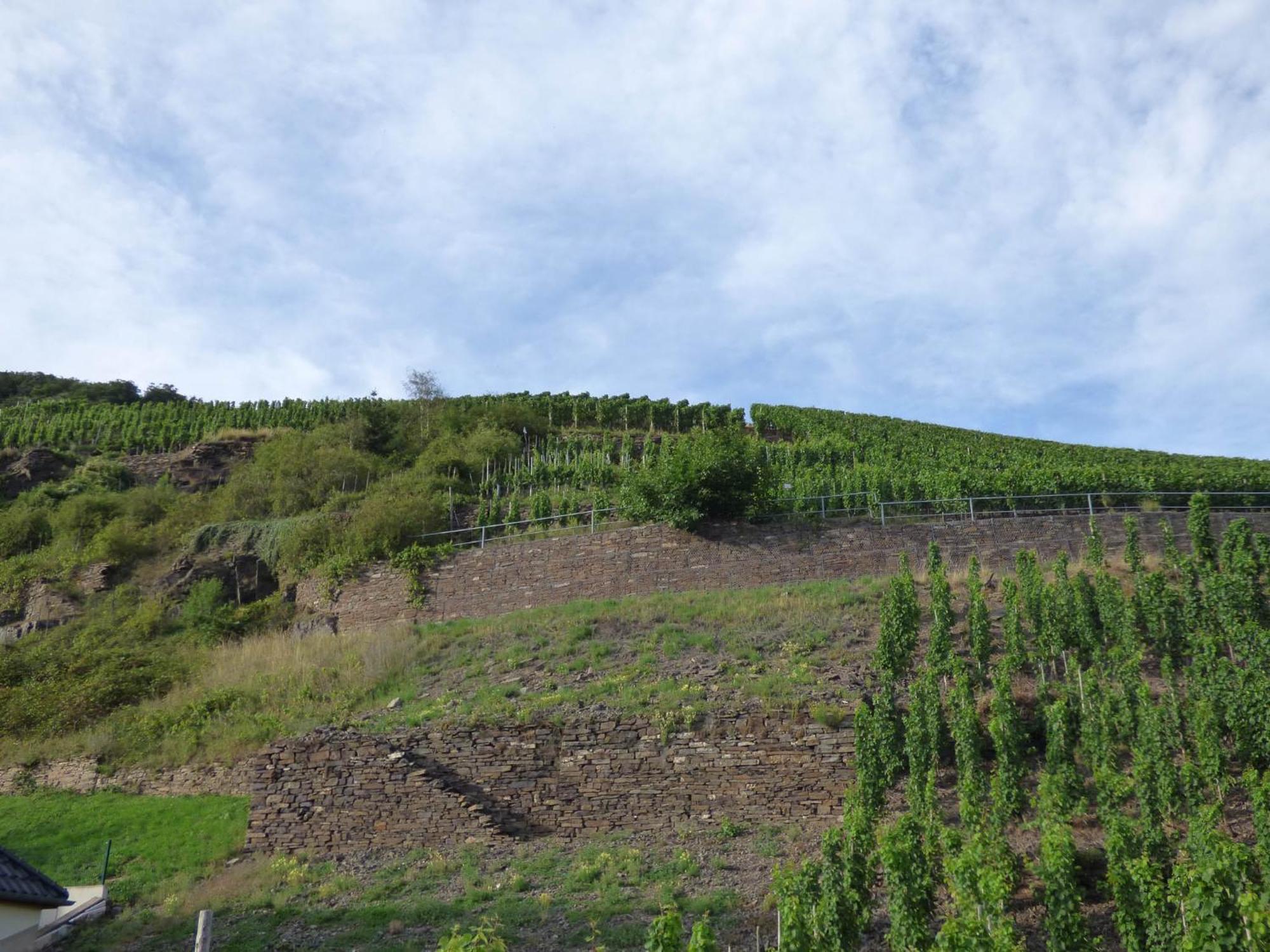Relaxen Im Weindorf Mayschoss Fewo 4 Dış mekan fotoğraf